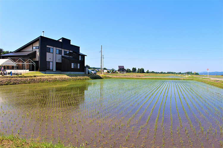 へぎそばの名店 そばの郷 Abuzaka Qlip Japan Travel Tour Concierge